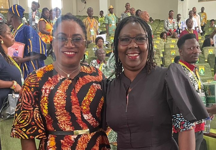 Strengthening Partnerships for the Advancement of Traditional Medicine